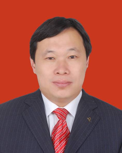 赵振海（安徽省砀山县人民政府副县长）
