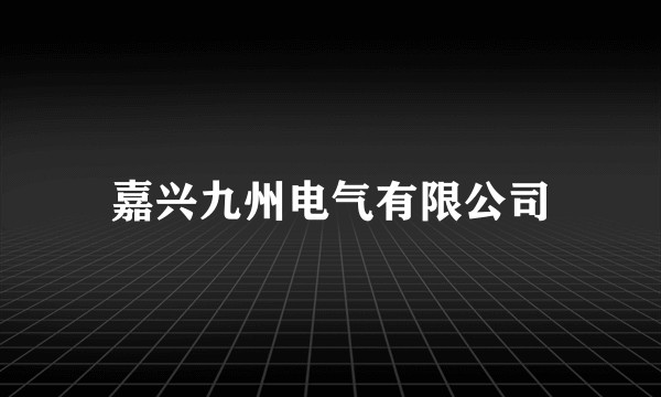 嘉兴九州电气有限公司