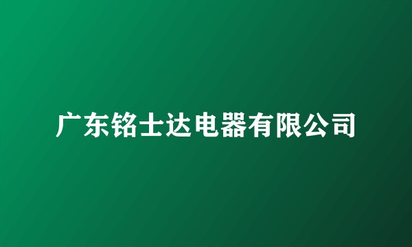 广东铭士达电器有限公司