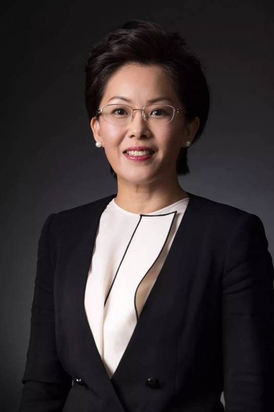 刘文静（中国蓝帆医疗董事长、蓝帆集团董事）