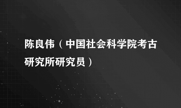 陈良伟（中国社会科学院考古研究所研究员）