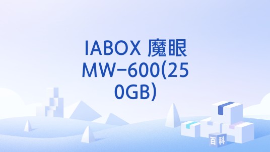 IABOX 魔眼MW-600(250GB)