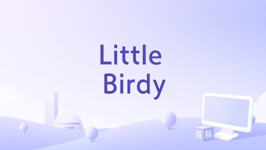 Little Birdy