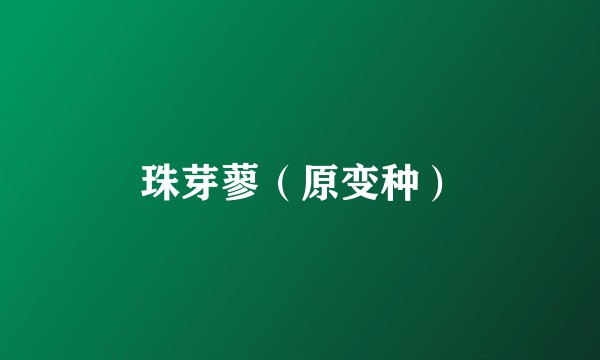珠芽蓼（原变种）