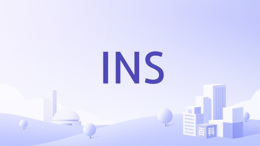 INS（移民归化）