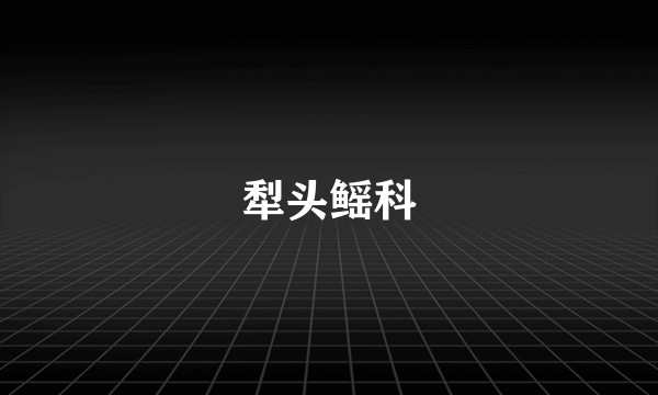 犁头鳐科
