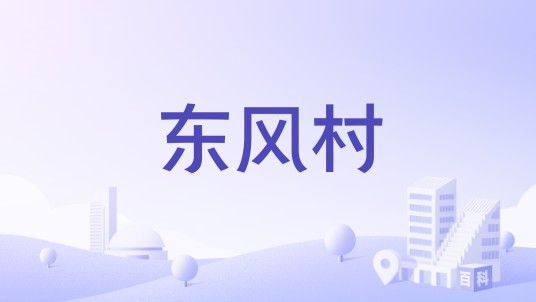 东风村（贵州省黔西南布依族苗族自治州晴隆县碧痕镇下辖村）