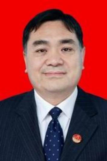 陈德智(陕西省安康市旬阳市人大常委会原党组书记、主任)