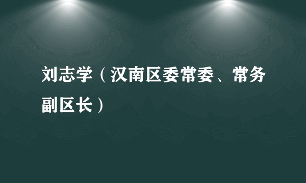 刘志学（汉南区委常委、常务副区长）
