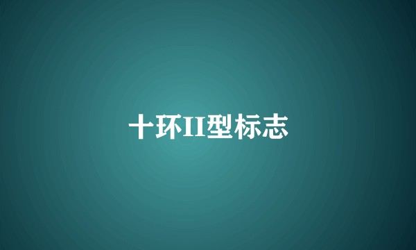 十环II型标志