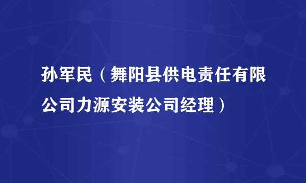 孙军民(舞阳县供电责任有限公司力源安装公司经理)