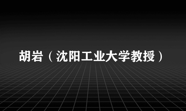 胡岩（沈阳工业大学教授）