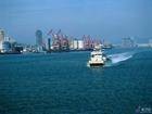 大丰港