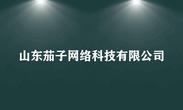 山东茄子网络科技有限公司
