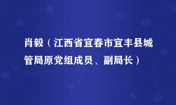 肖毅(江西省宜春市宜丰县城管局原党组成员、副局长)