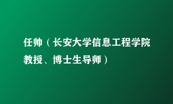 任帅（长安大学信息工程学院教授、博士生导师）