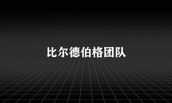 比尔德伯格团队