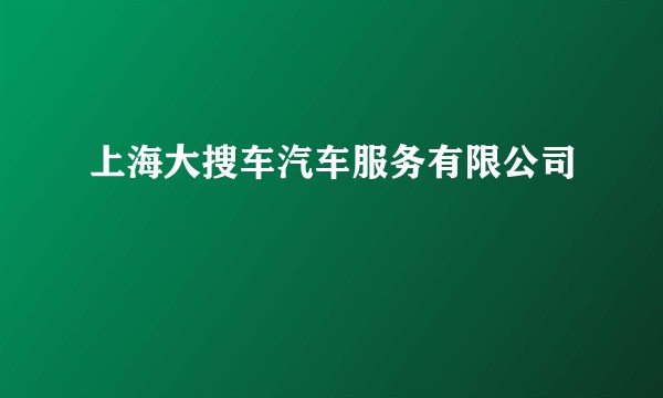 上海大搜车汽车服务有限公司