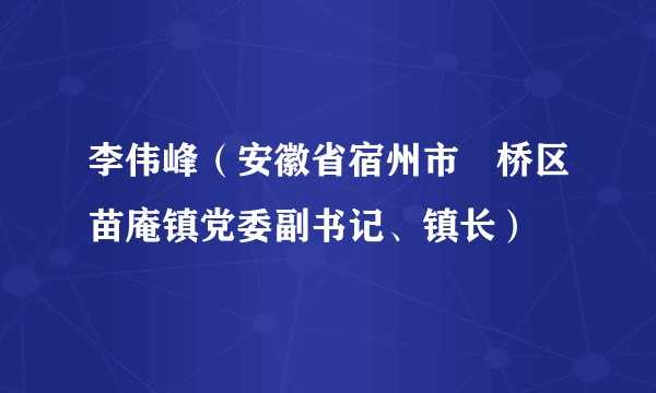李伟峰(安徽省宿州市埇桥区苗庵镇党委副书记、镇长)