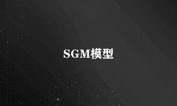 SGM模型