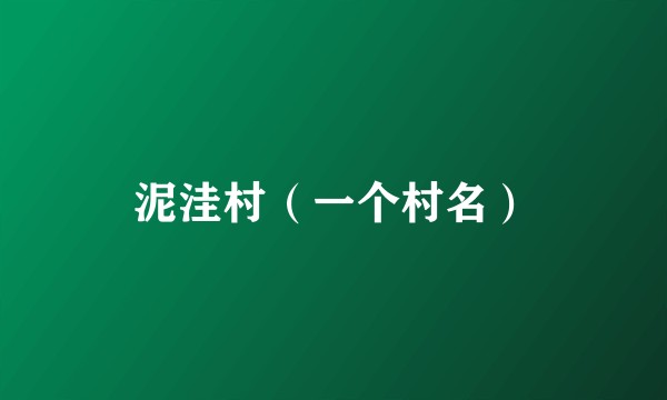 泥洼村（一个村名）