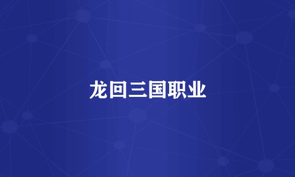 龙回三国职业