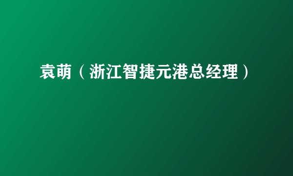 袁萌（浙江智捷元港总经理）