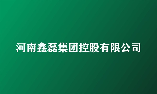 河南鑫磊集团控股有限公司
