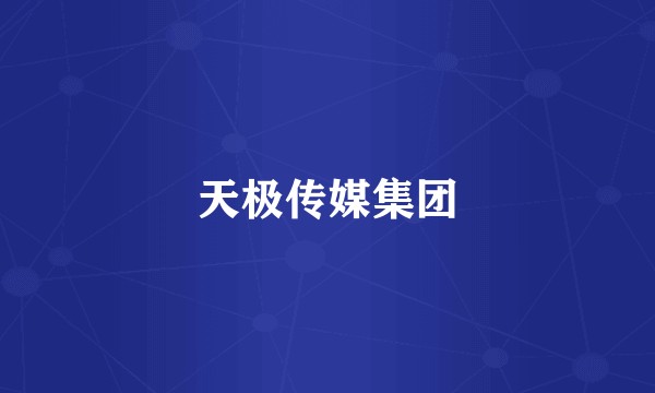天极传媒集团