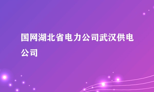 国网湖北省电力公司武汉供电公司
