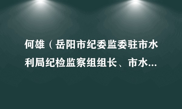 何雄(岳阳市纪委监委驻市水利局纪检监察组组长、市水利局党组成员)