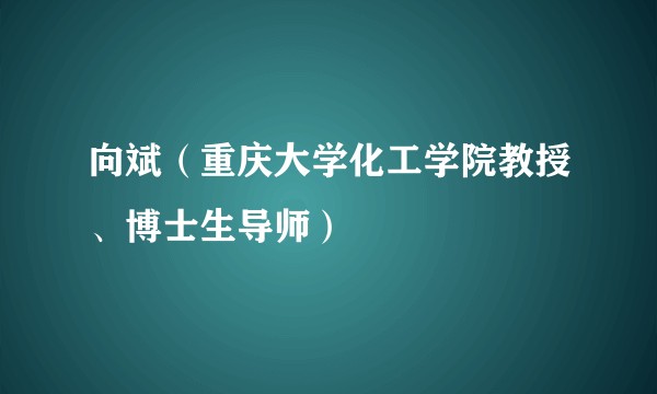 向斌（重庆大学化工学院教授、博士生导师）