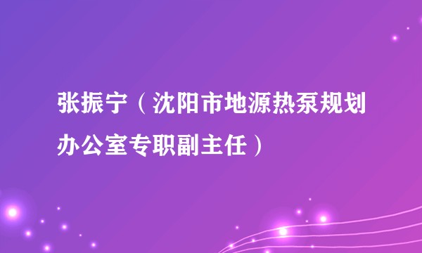 张振宁(沈阳市地源热泵规划办公室专职副主任)