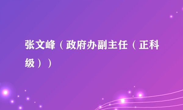张文峰(政府办副主任(正科级))