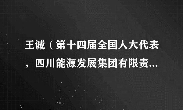 王诚(第十四届全国人大代表,四川能源发展集团有限责任公司党委书记、董事长,四川省科学技术协会副主席)