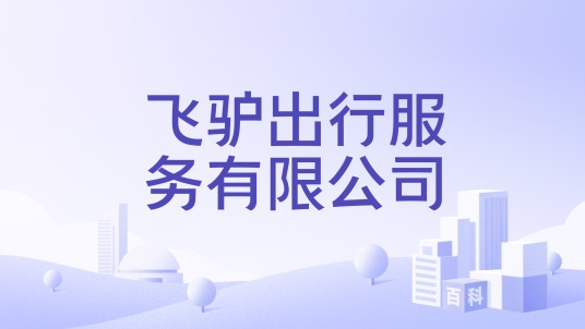 飞驴出行服务有限公司