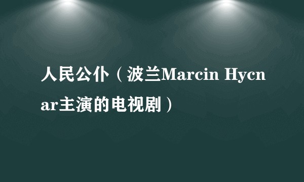 人民公仆（波兰Marcin Hycnar主演的电视剧）