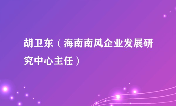 胡卫东(海南南风企业发展研究中心主任)