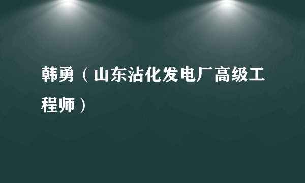 韩勇（山东沾化发电厂高级工程师）