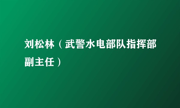 刘松林(武警水电部队指挥部副主任)