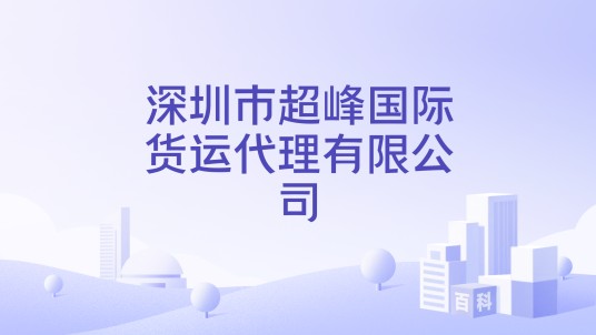 深圳市超峰国际货运代理有限公司