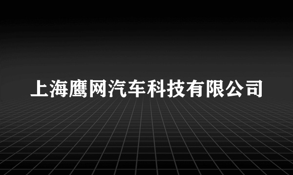 上海鹰网汽车科技有限公司