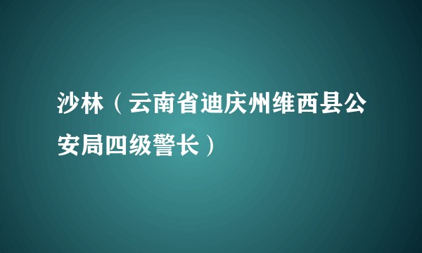 沙林（云南省迪庆州维西县公安局四级警长）