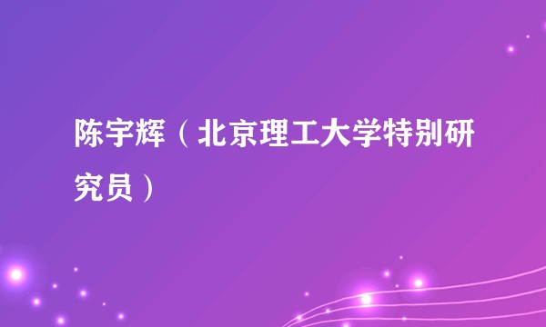 陈宇辉（北京理工大学特别研究员）