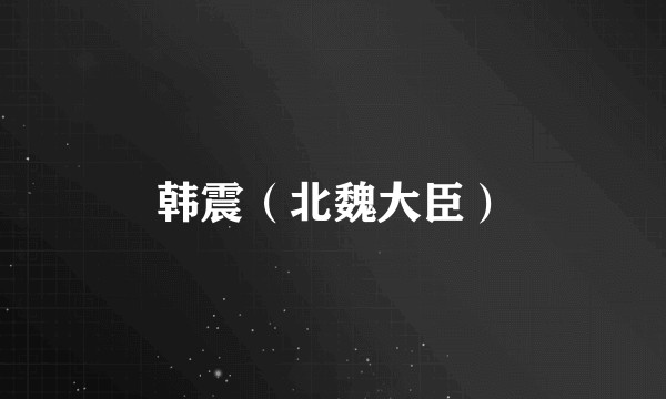 韩震（北魏大臣）