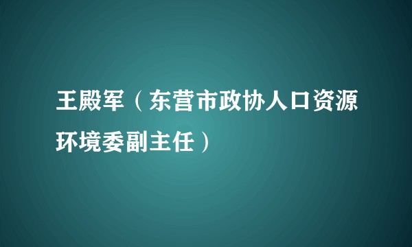 王殿军(东营市政协人口资源环境委副主任)