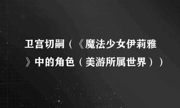 卫宫切嗣（《魔法少女伊莉雅》中的角色（美游所属世界））