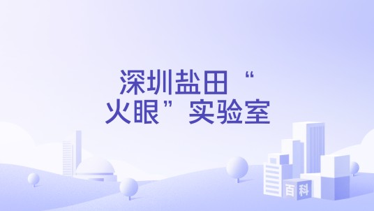 深圳盐田“火眼”实验室