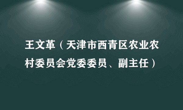 王文革（天津市西青区农业农村委员会党委委员、副主任）
