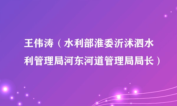 王伟涛(水利部淮委沂沭泗水利管理局河东河道管理局局长)